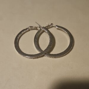 Elegant Silver Hoop Earrings